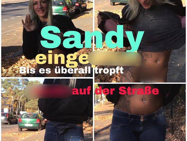 Fit***Sandy Porno Video: Sandys einpi** Straßen Walk in Berlin NACKT